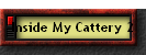 Inside My Cattery 2
