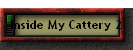 Inside My Cattery 2