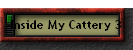Inside My Cattery 3