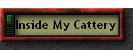 Inside My Cattery