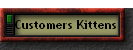 Customers Kittens