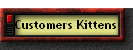 Customers Kittens