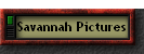 Savannah Pictures