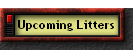 Upcoming Litters
